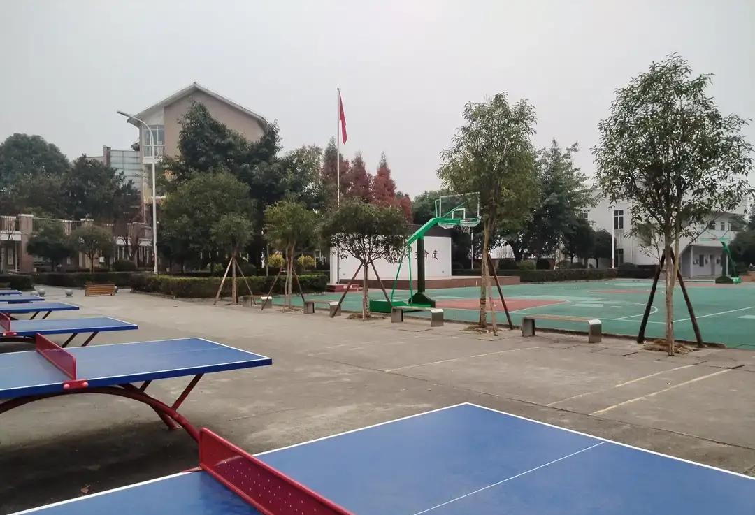 当年拼死拼活要考大学的同学，现在肠子都悔青了！79年中考我俩都超线20多分，我直