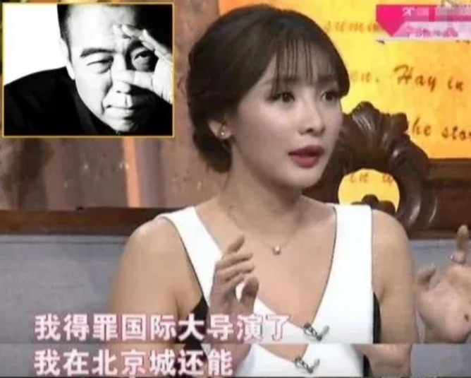 2005年，在电影《无极》的发布会上，陈凯歌怒骂柳岩：“你会不会说话？谁让你这么