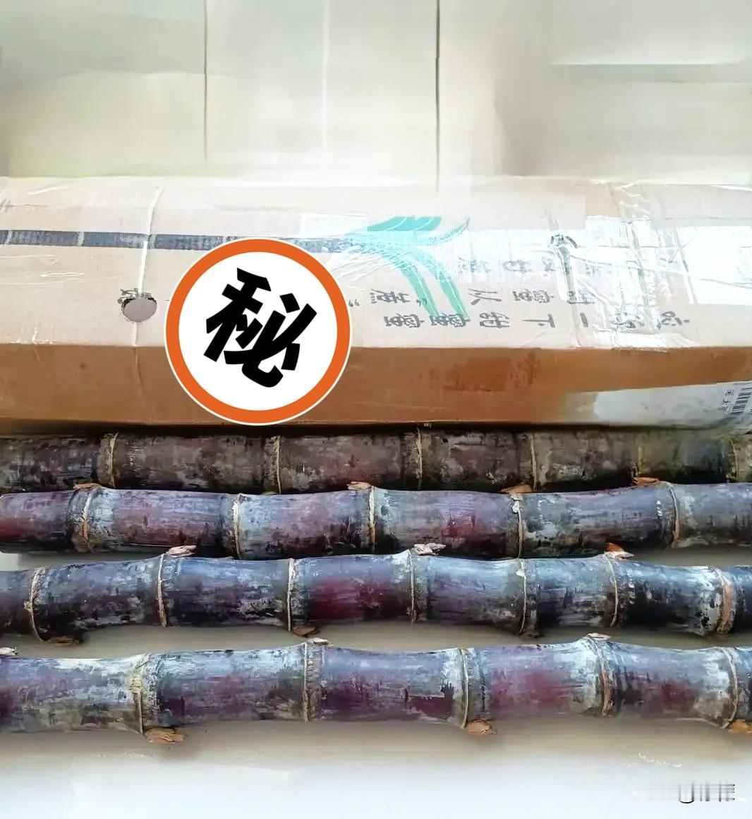 董宇辉广西卖的甘蔗到货，打开箱子，我有点看不懂了。清一色掐头去尾的中间段，每