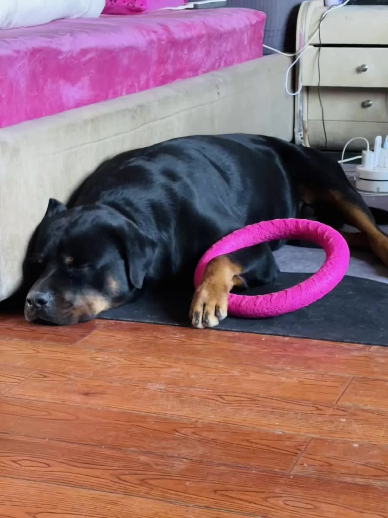 睡觉也搂着他的玩具