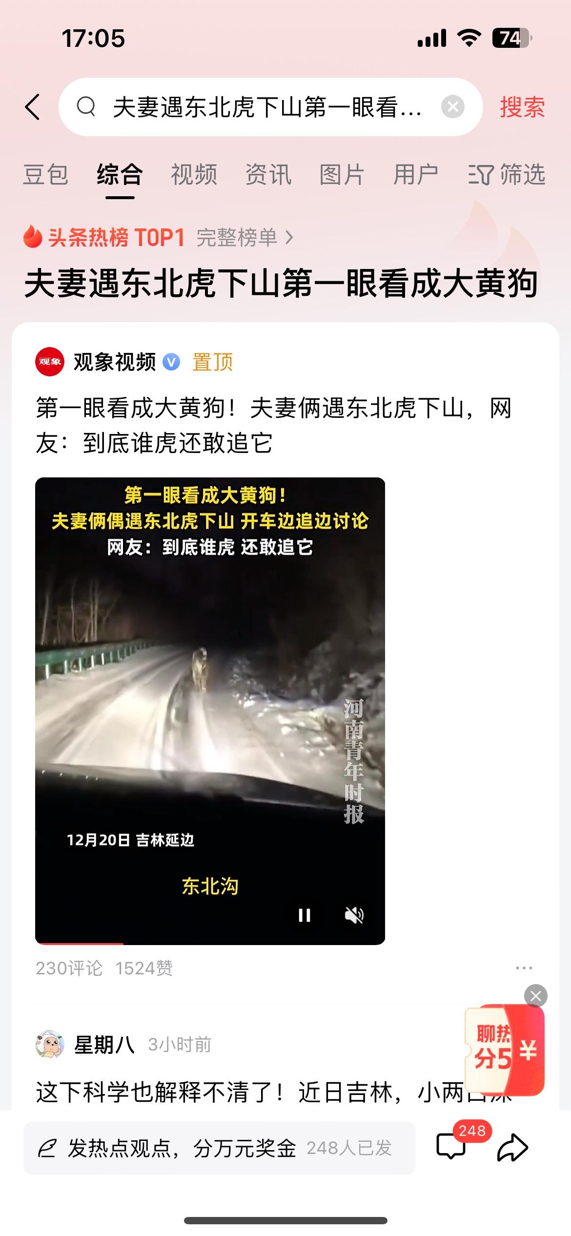 什么眼神，纯正野生东北虎被看成“大黄狗”，这也太拿东北虎不当回事了！看来东北的