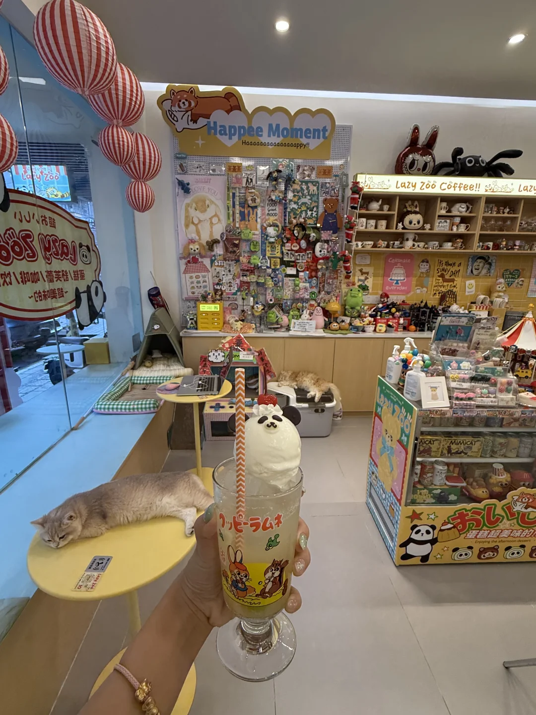 广州新的！！治愈系可爱猫猫下午茶🐈⪩. .⪨