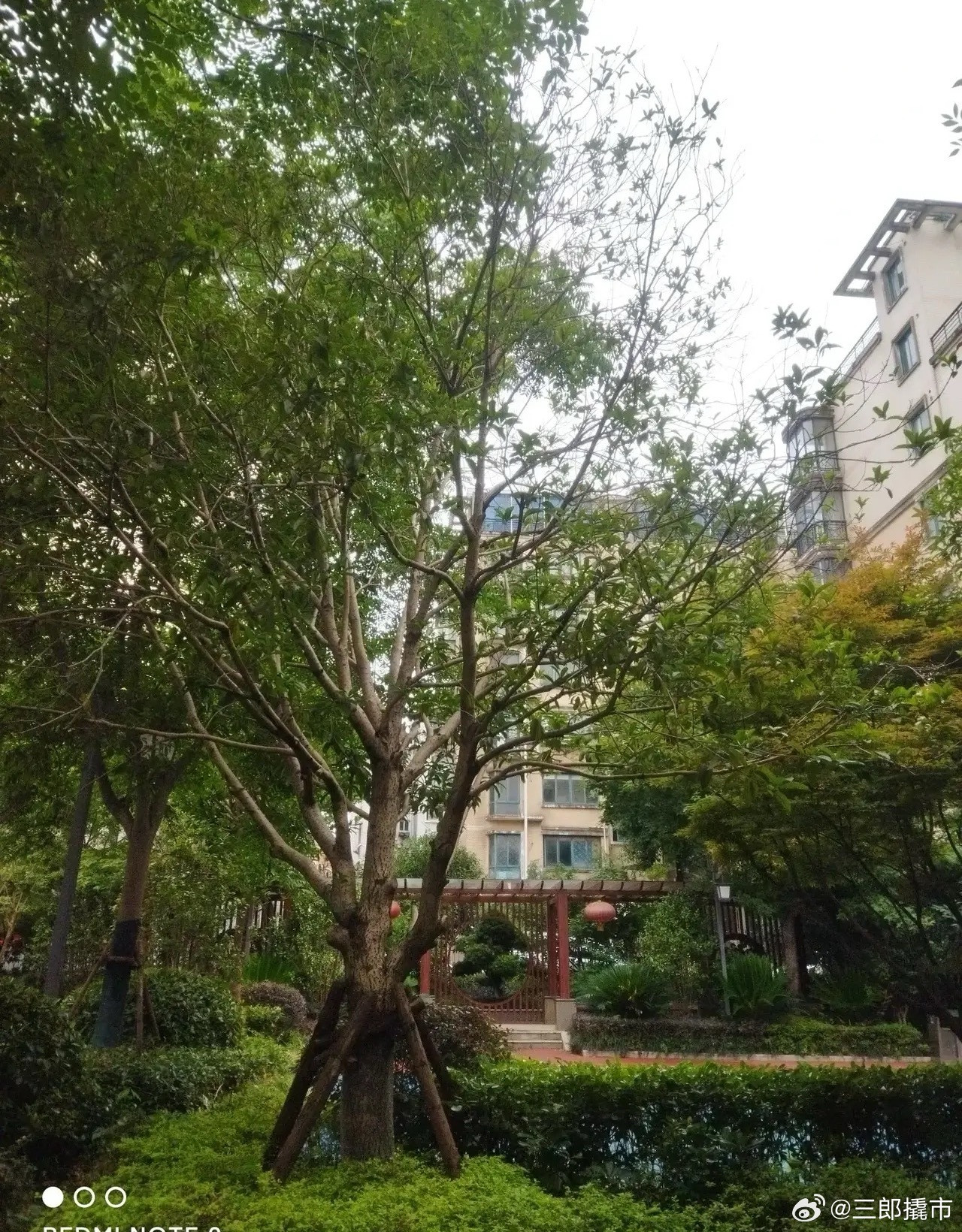 在股市亏钱是正常的如果炒股那么好赚，还有谁会辛辛苦苦上班？在股市不但钱