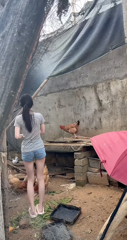 和女朋友回老家，她好像喜欢上给小动物喂食了
