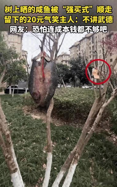 “强买强卖！”浙江，一女子在小区树上晒腊肉，谁知，等女子准备收回家时，却发现腊鱼