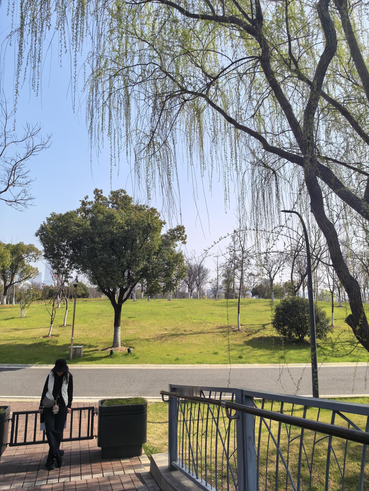 75岁的妈妈天天喊着要拿半生积蓄在弟弟所在城市买房子，理由是爬不了弟弟家步梯4楼