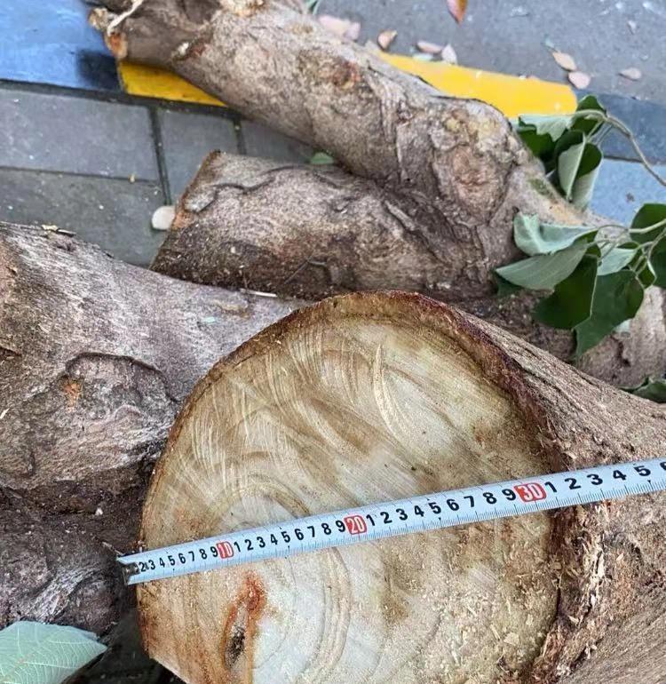 合肥元一柏庄物业，你欠业主一个说法！元一柏庄小区内发生了一件令人震惊的事