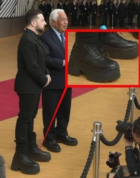 小泽到哪里都穿的高跟鞋很惹眼。小泽的官方身高为170厘米，但是基于与他国领导