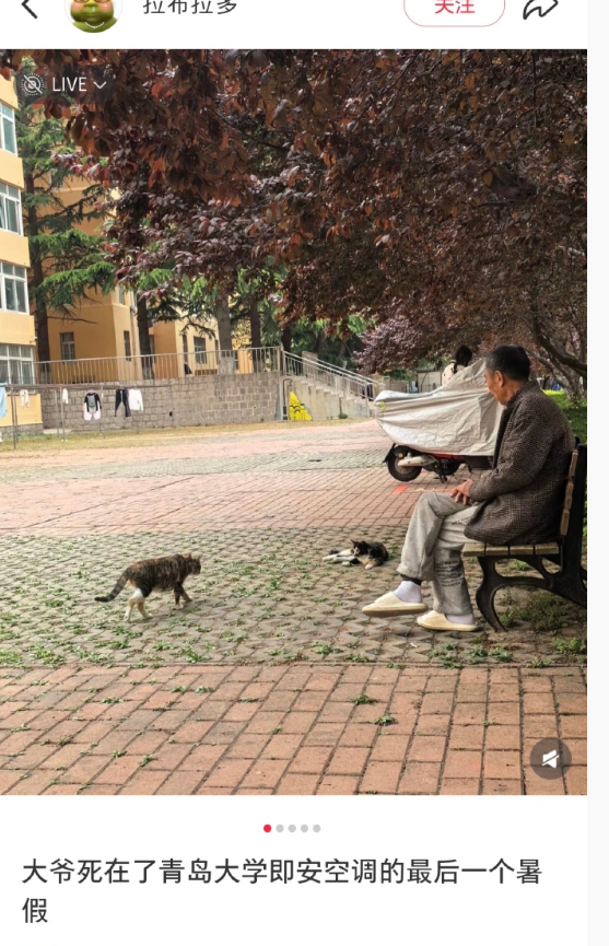这个标题像余华小说的开头​​​