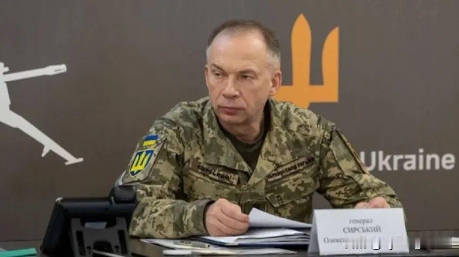 🇺🇦乌克兰计划在2025年底前完成乌克兰武装部队网络司令部的组建12月