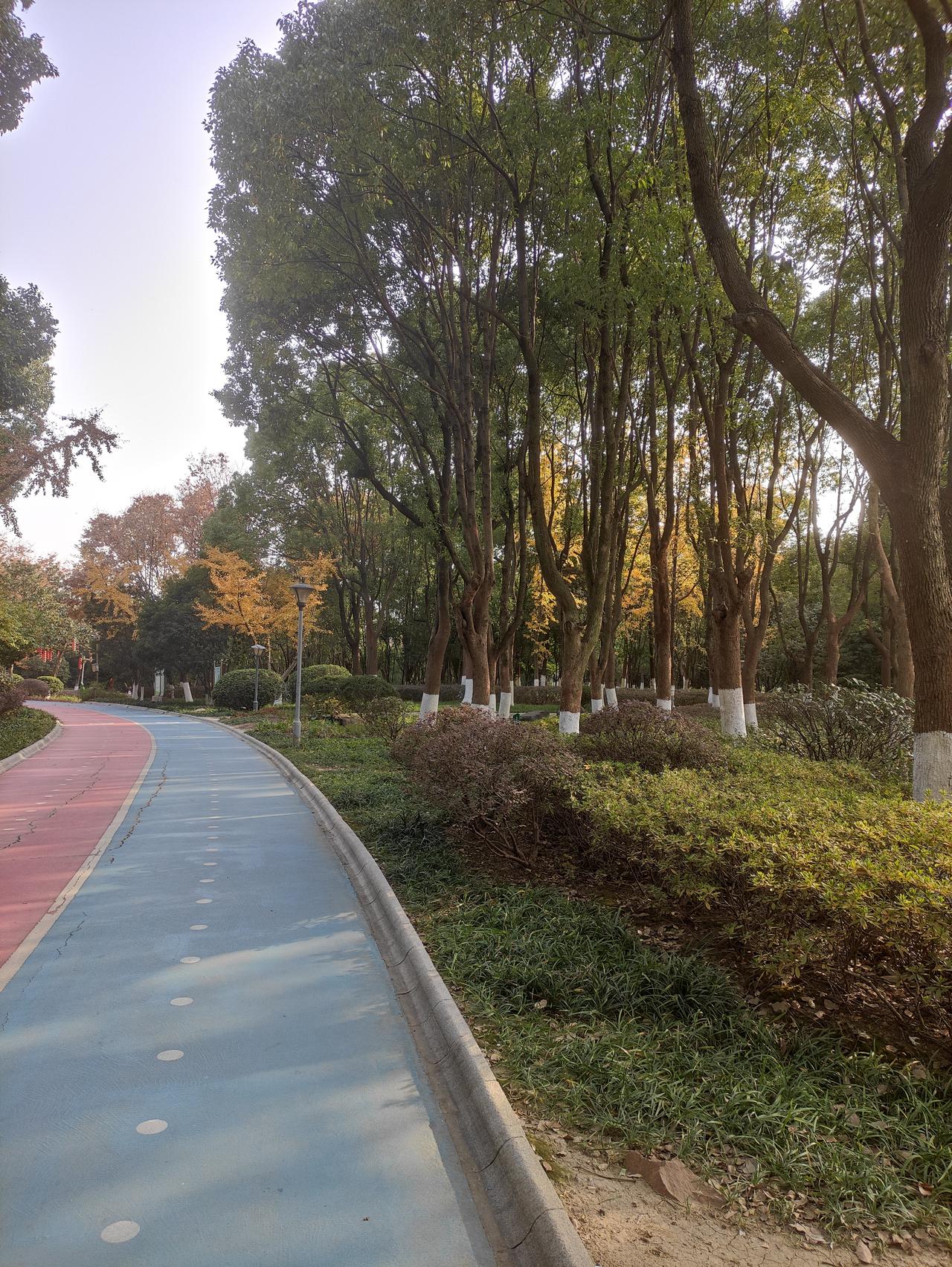 紫微斗数看自己的小孩会不会读书？打开命盘，首先要找两个宫位，一个是父母宫，一