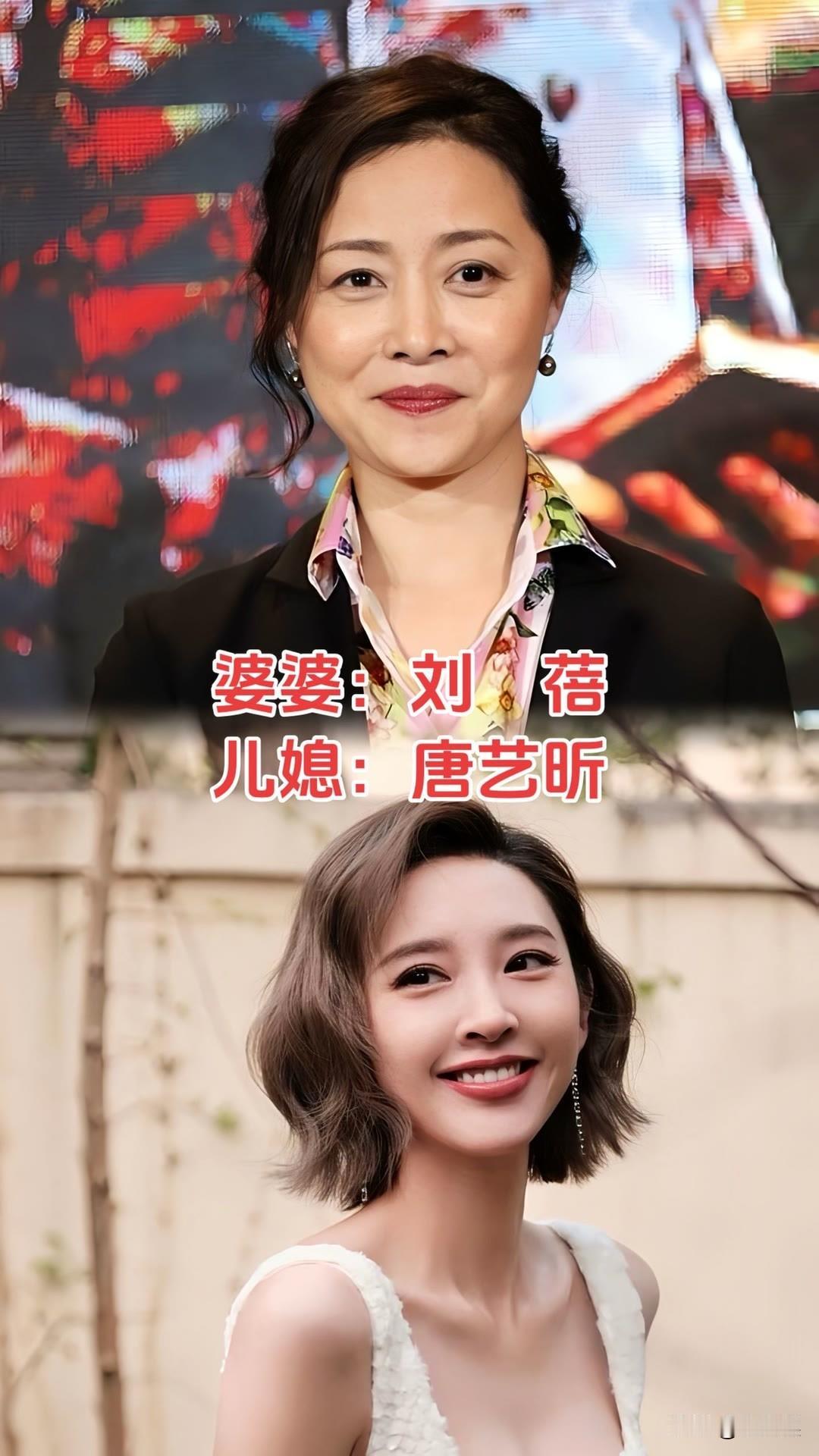 10对“明星婆媳”对比