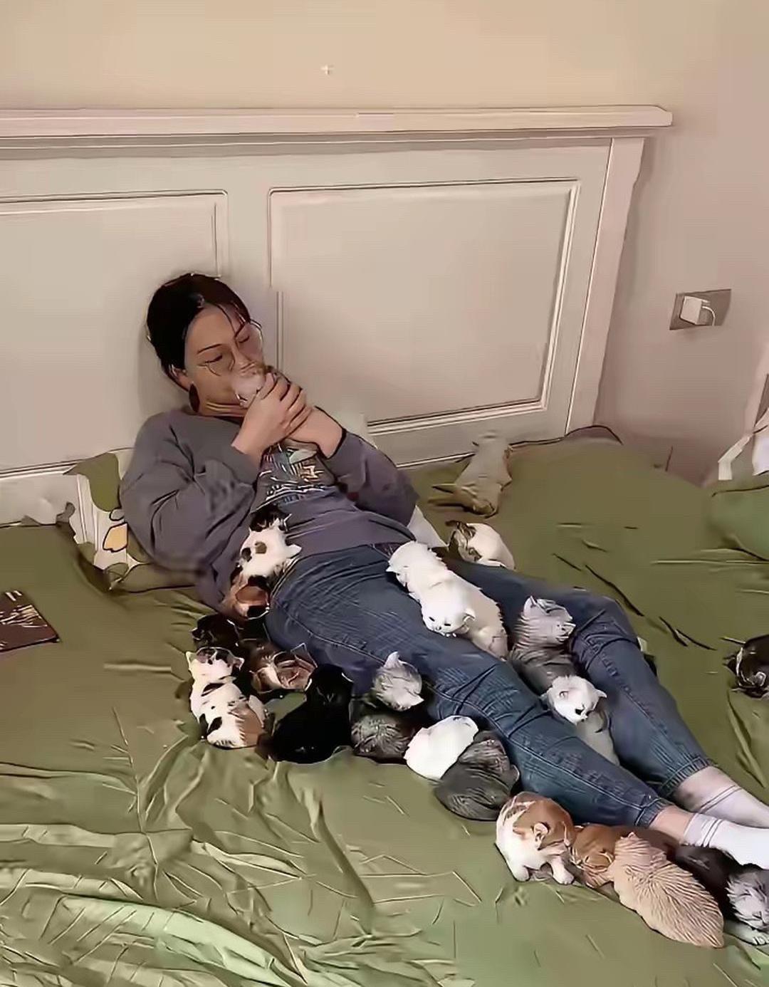 你会娶一个喜欢养满屋子猫的博士生做老婆吗