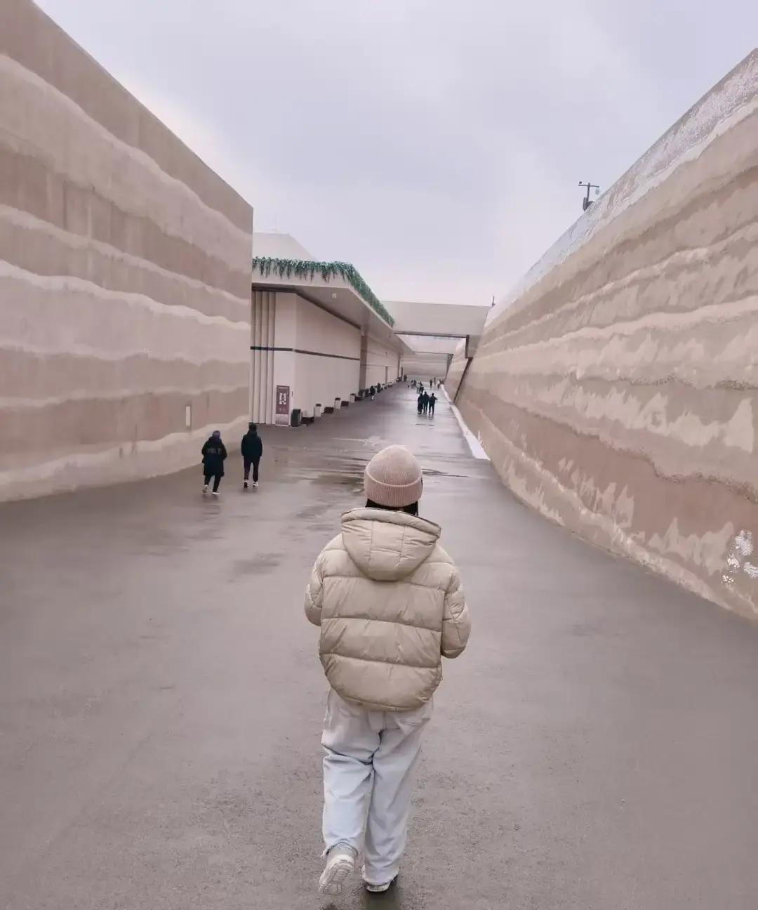 刷到个帖子，一哥们把2026年拆成五颗糖：存一笔钱、囤20克金、衣服鞋不买、12