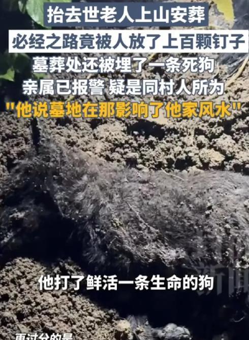 重庆一老人去世，家人准备将遗体安葬在自家地里，谁料，安葬必经路上，被人放了100