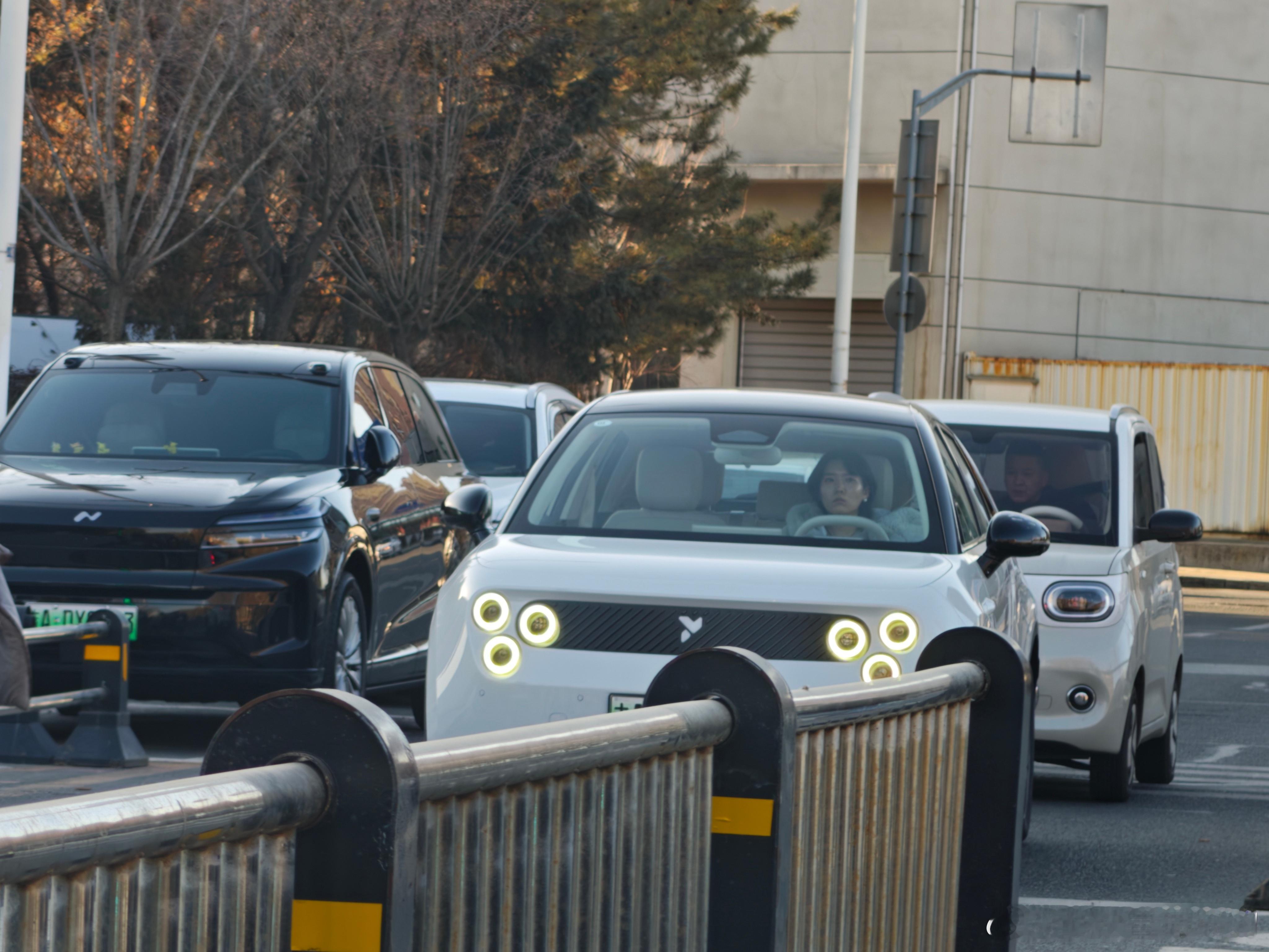 这是典型的蔚来萤火虫的车主吗