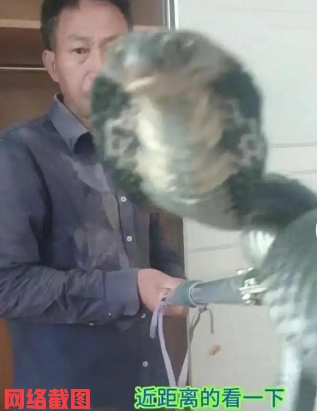 湖南邵阳有捕蛇大叔做直播。这名大叔可不简单,白天卖水果晚上捕蛇做直播,这一套