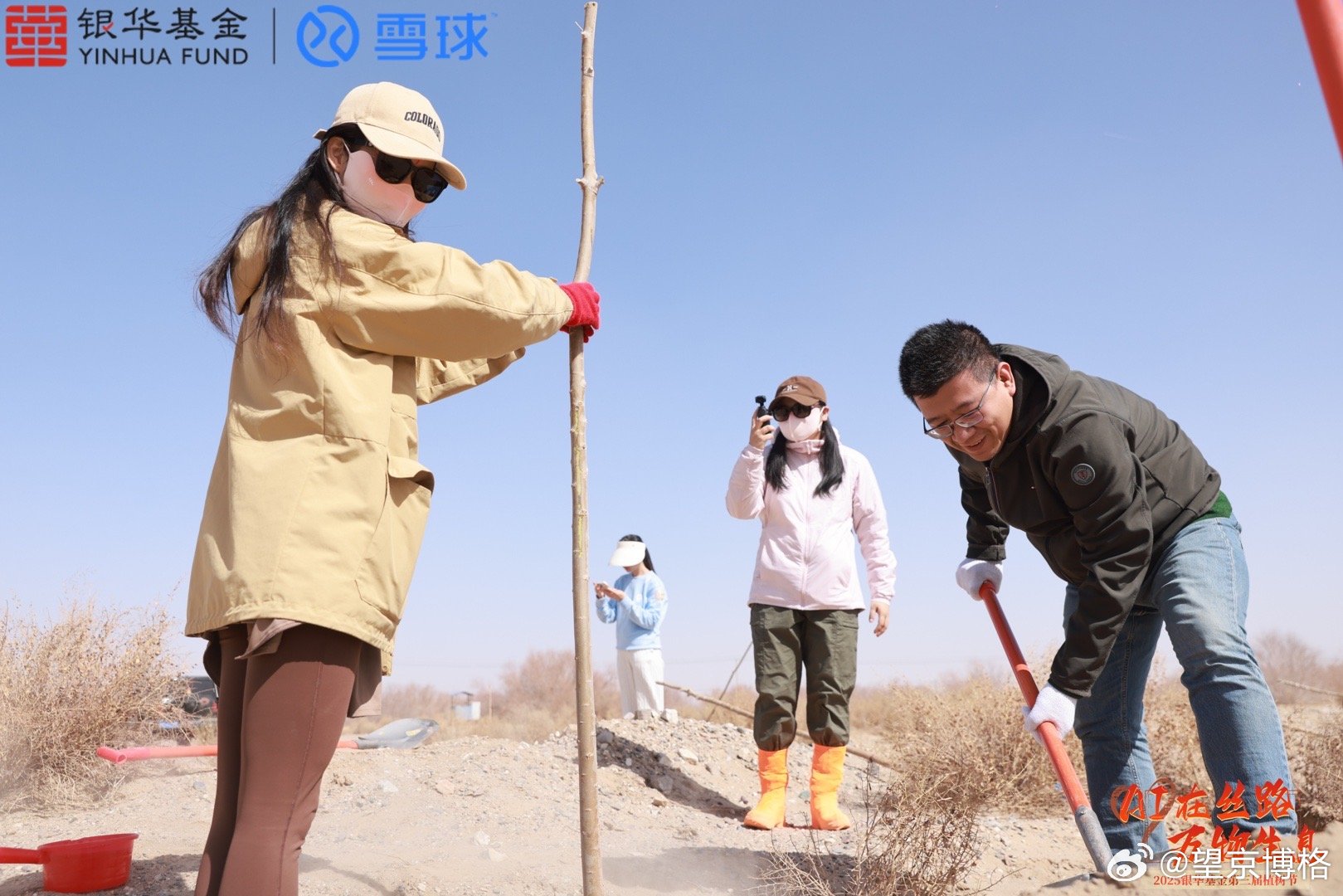 这个地方太需要树木了，努力为祖国多种几棵胡杨[加油][加油][加油]金价港股基金