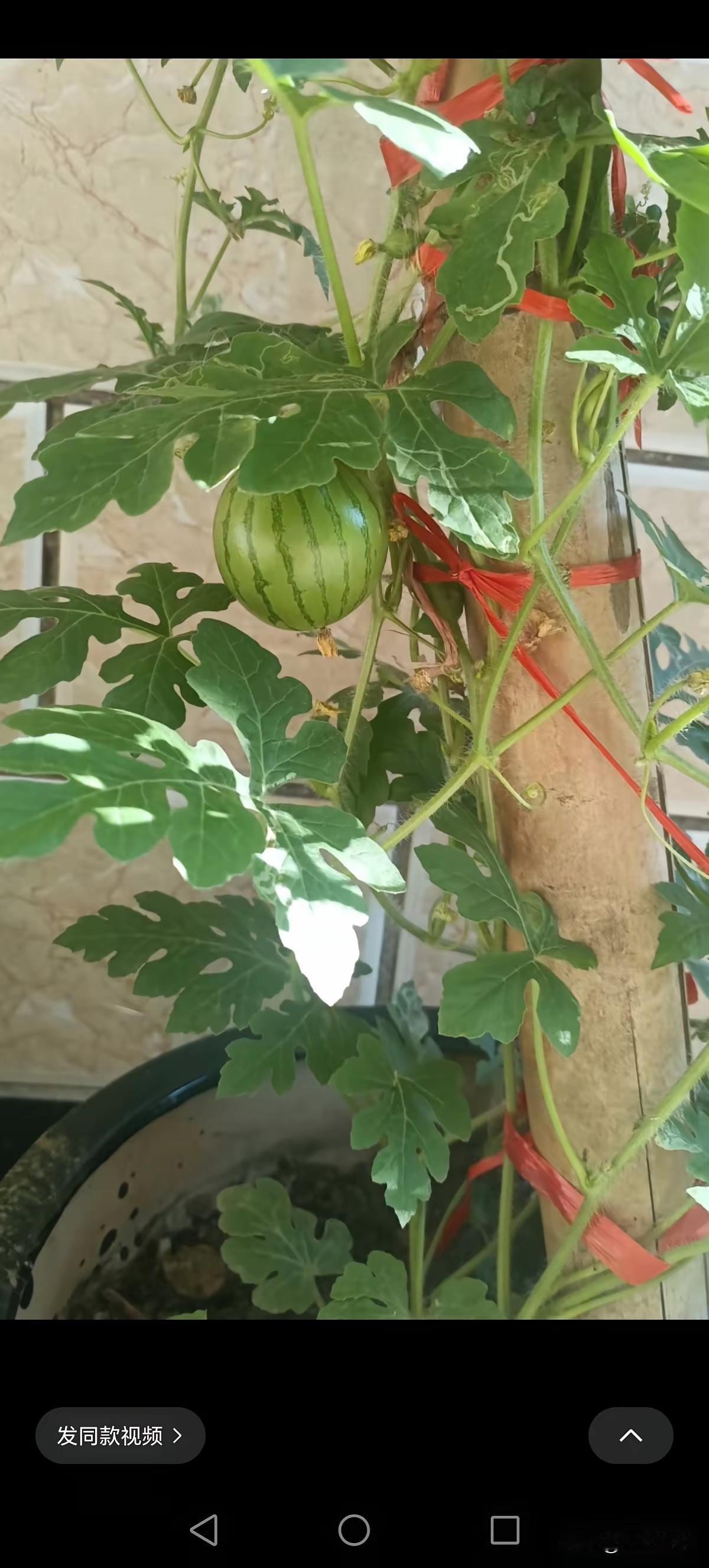 我找了一个非常满意的工作。我今年49岁，离家10分钟的路程，一个纸箱厂。