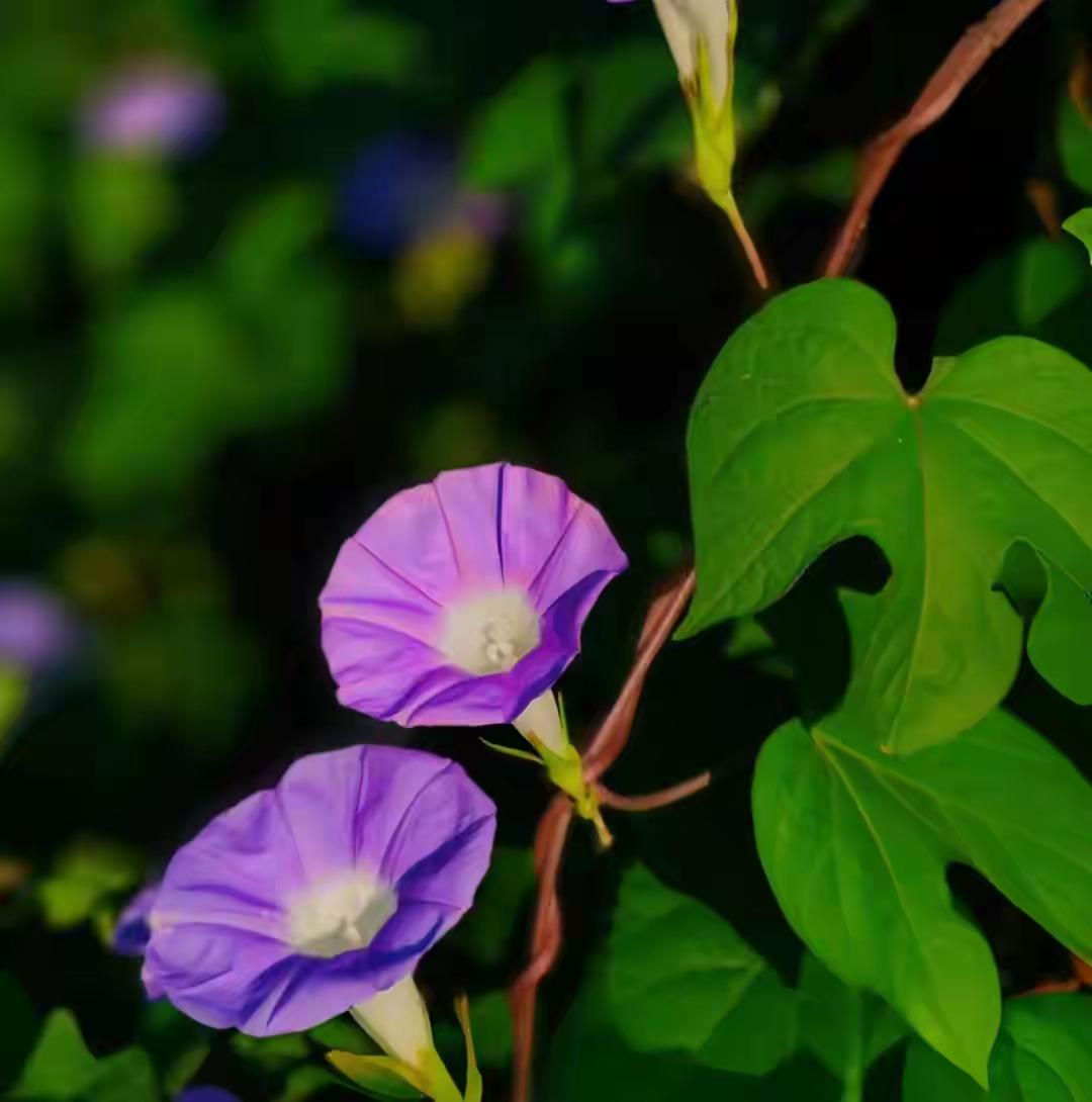 最舒服的两性关系，不是夫妻，却胜过夫妻关于“最舒服的两性关系，不是夫妻，却胜过