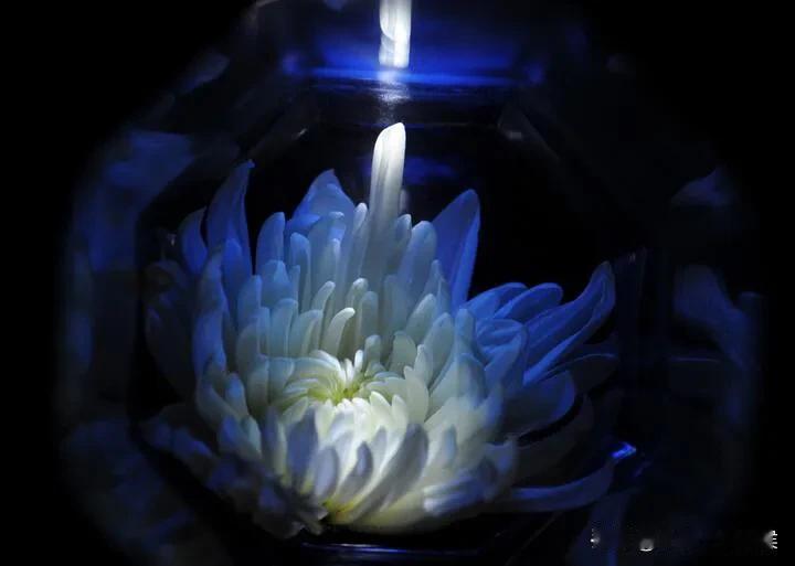 今天参加了一个大学同学的追悼会。比较冷清，只有十几个人，他是在北京自杀的，其实