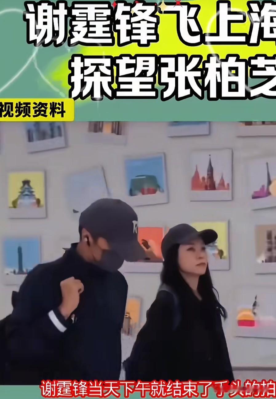 真的假的？据说“谢霆锋结束当天的手头工作就跑去上海看张柏芝？”他推开张柏芝住