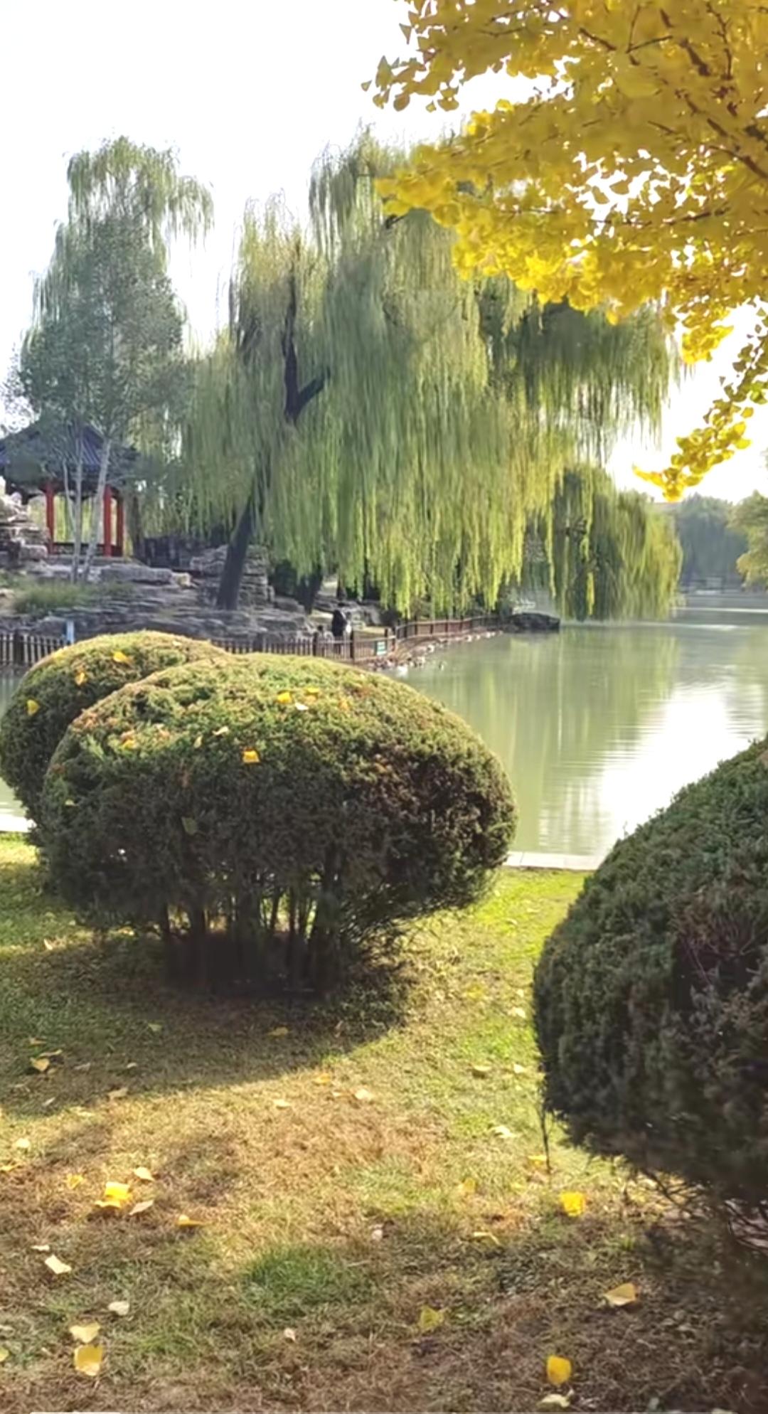 如何才能使一个人变得淡定从容？想变得淡定从容，并非一蹴而就。首先要学会“看见”