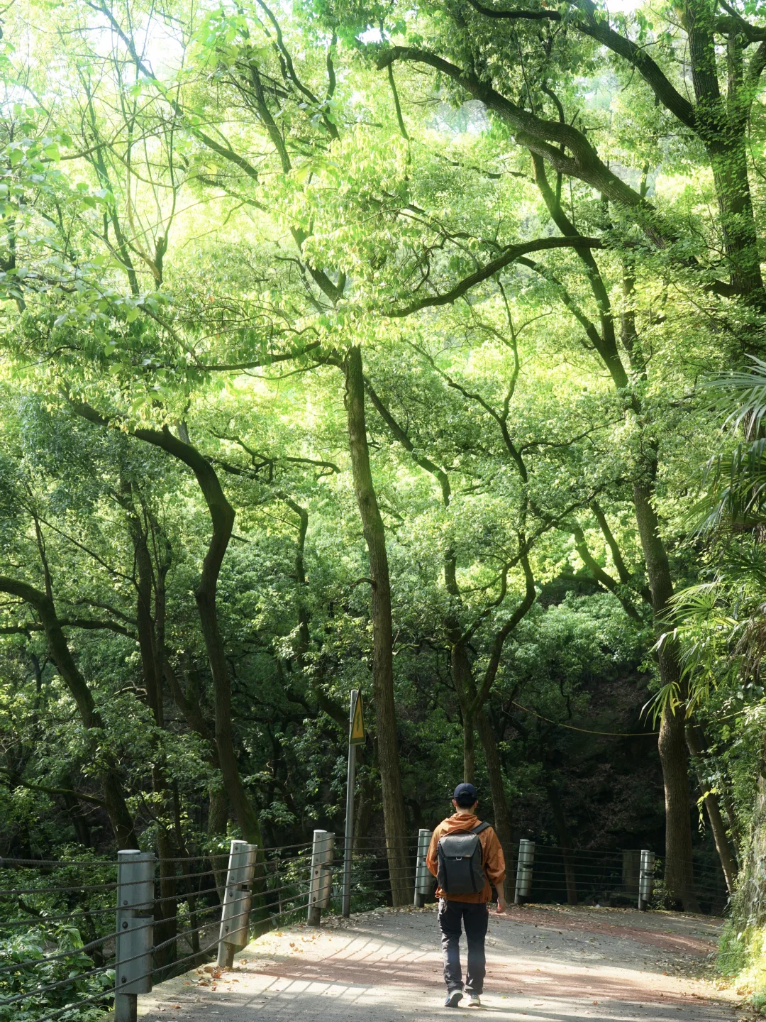 真的是今年走过最舒服的徒步线路了！