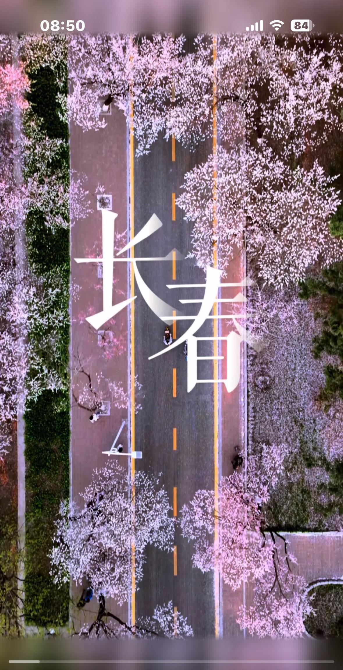 董宇辉把亏欠东北的，都还完了。当初，阅山河选的是东北三省的品，去的却只有黑龙江