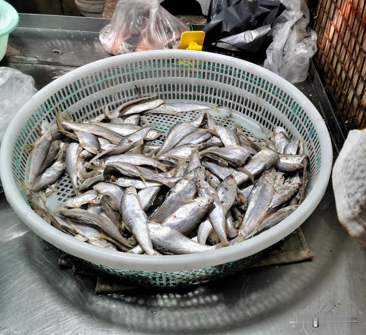 大连小海鲜大量上市喽~前天傍晚，我逛马栏广场农贸市场，看见好多家海