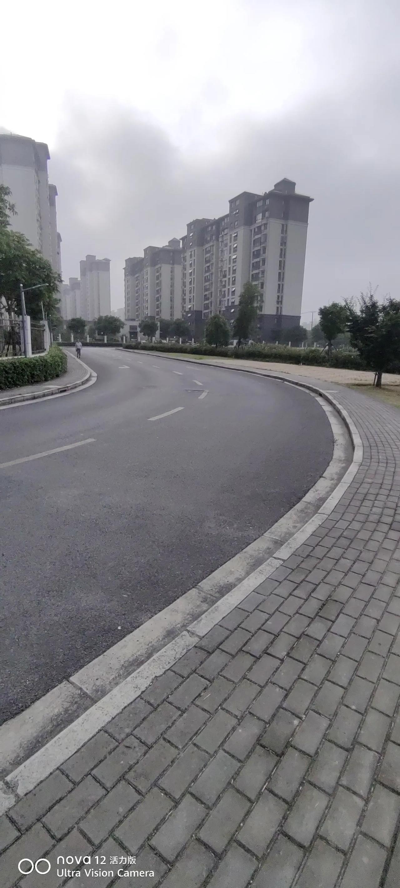 闵行郊区我们目前租住的水月锦绣苑，除了昨天吐槽的道路上狗屎多，别的总体还是可以