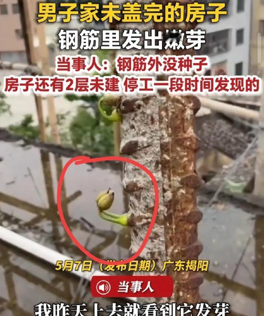 🌞太痛心了！5月7日媒体报道，广东佛山一女子去上厕所，让丈夫照看仅两个月大