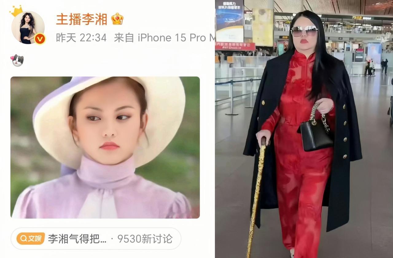 李湘终于气的坐不住了！看到众多网友恶意模仿她红衣墨镜的机场造型，她在微博甩出一