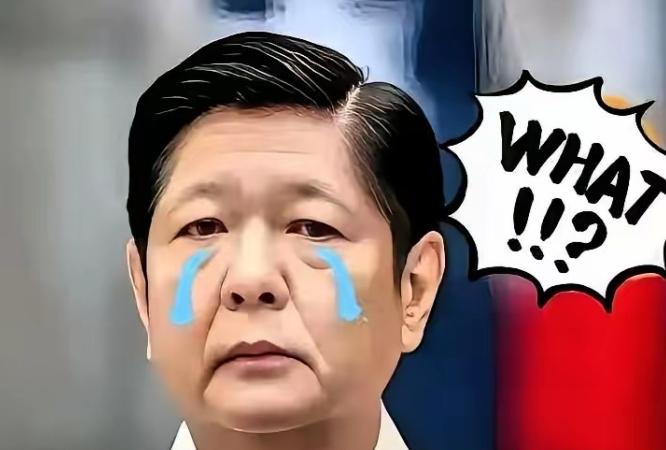 快讯！快讯！菲律宾正式宣布台风“海鸥”“凤凰”狂扫菲律宾，至少259