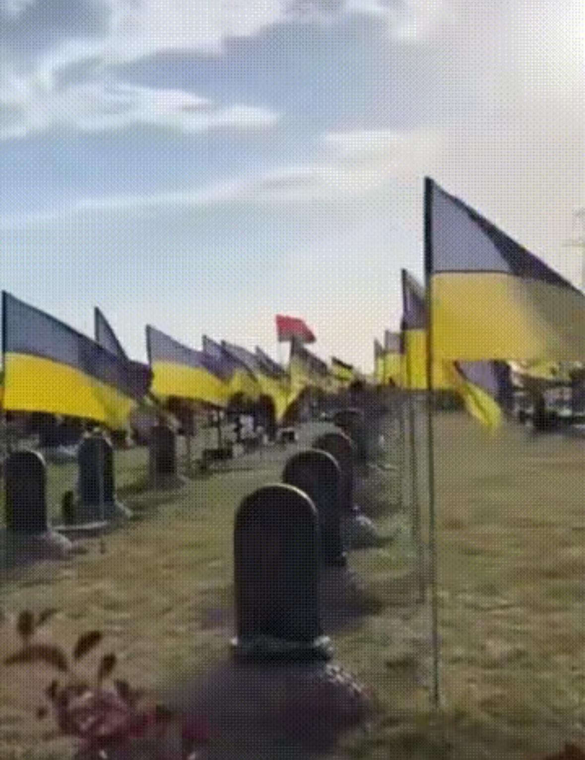 红军城挖出三千多外国人尸体，乌军自己人不够，背后钱和谎言怎么操作。红军城战场最