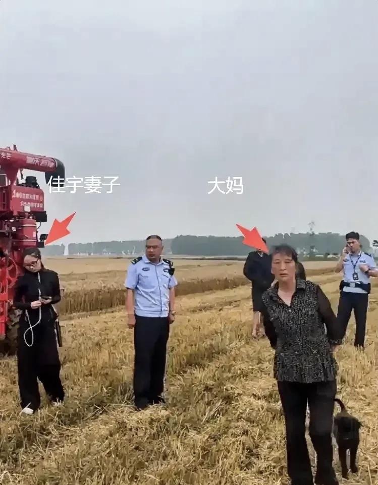 “太寒心了！”河南一对95后小夫妻为帮襄阳农户抢收小麦，开着农机千里救粮，谁知谈