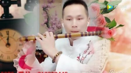 花心-笛子金曲 经典老歌流行歌曲笛子独奏曲系