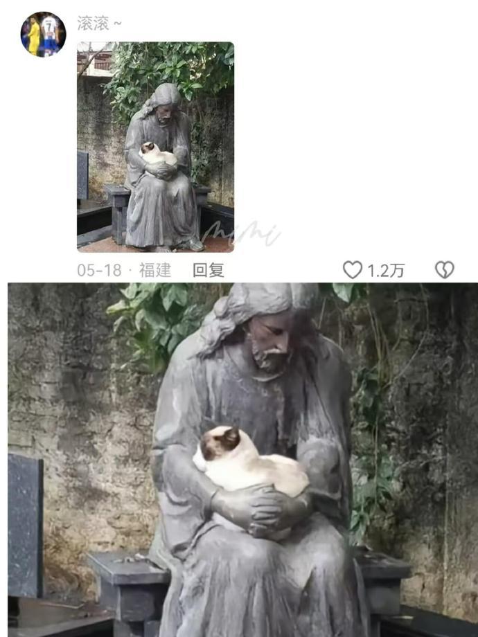 校园里的雕塑很符合喵体工学​​​