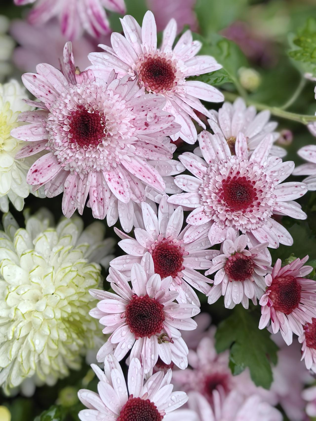 男人会嫌弃没有工作的老婆吗？不一定，但大概率会。尤其是当男人收入不高的时候。