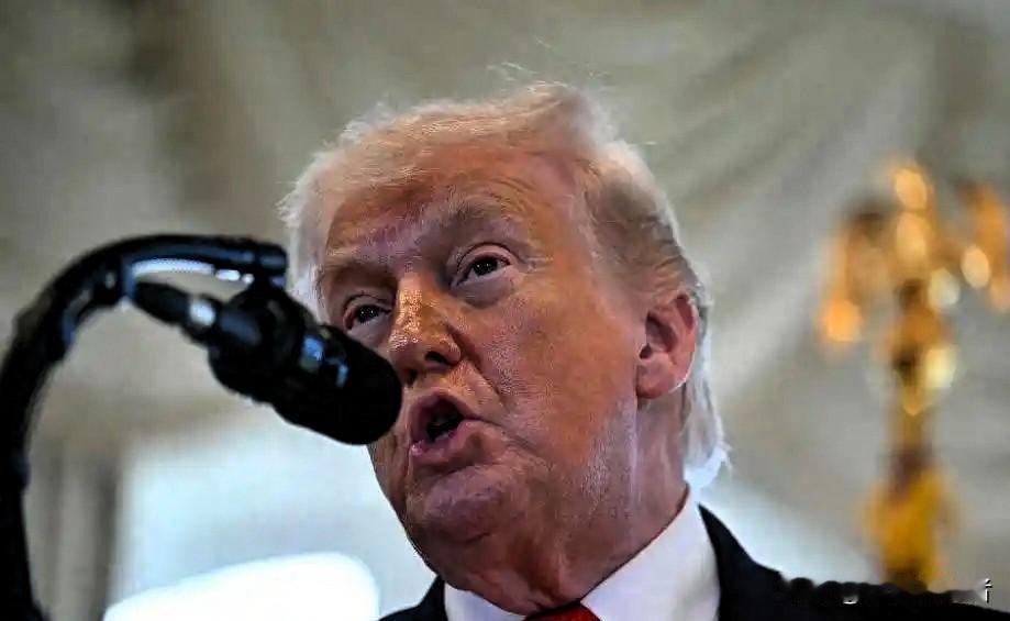 特朗普用力太猛反而帮了中国大忙，南非83%、南非83%、巴西72%、土耳其63%