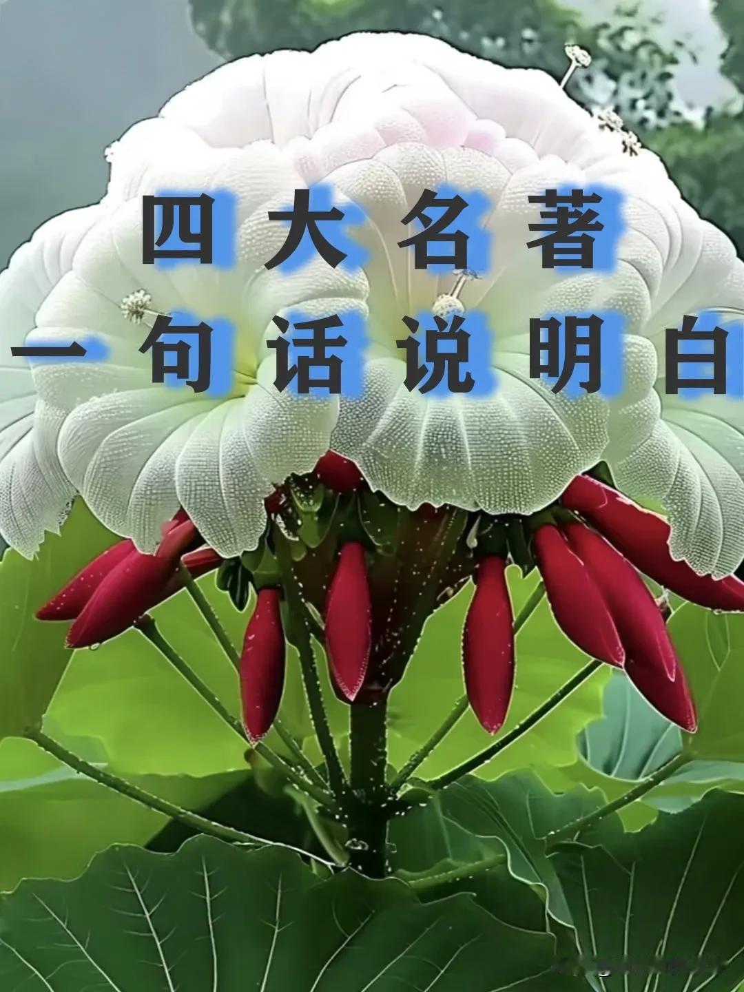 四大名著一句话就能说明白简直绝了～一，水浒～阳气十足红楼～阴气十足西游