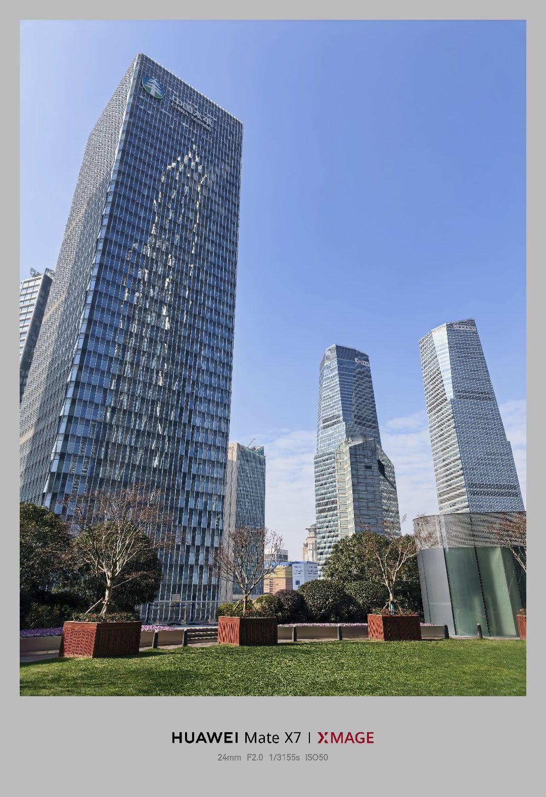 安亭土狗又来陆家嘴了