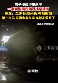浙江台州，陈先生夜间开车时，一条拇指粗的蜈蚣突然从挡风玻璃上横穿而过。他瞬间头皮