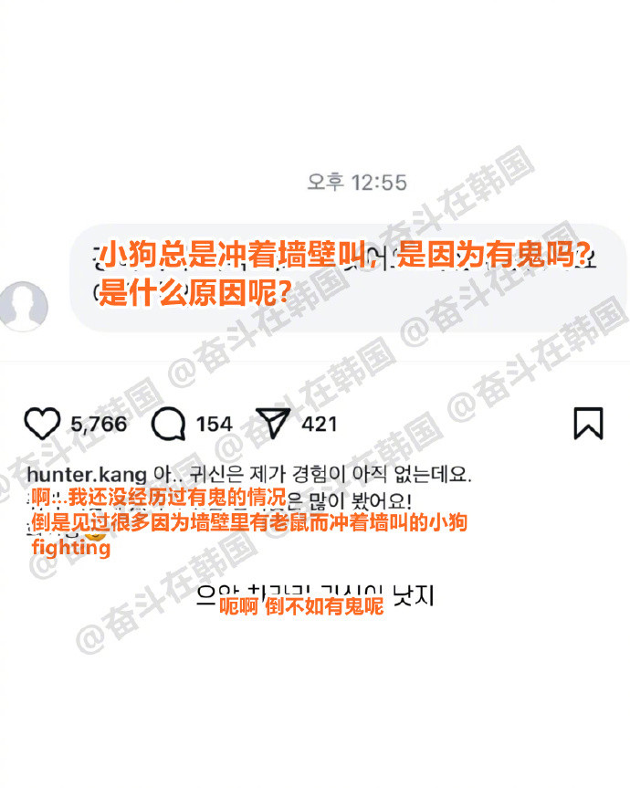 “小狗总是冲着墙叫是因为什么？”倒不如有鬼呢...！海外新鲜事热点现场