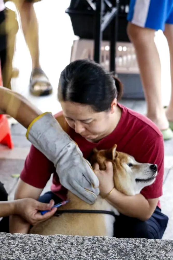 一位李先生被自家养的狗咬伤了手指，当时没太在意，结果第二天下午狗突然死了，他才赶