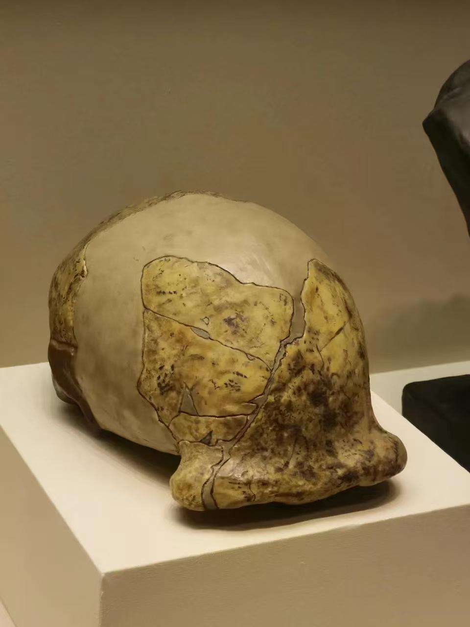 马未都作为资深收藏家，这话可不是随口夸的！能让他说出“看一眼死而无憾”，这五件国