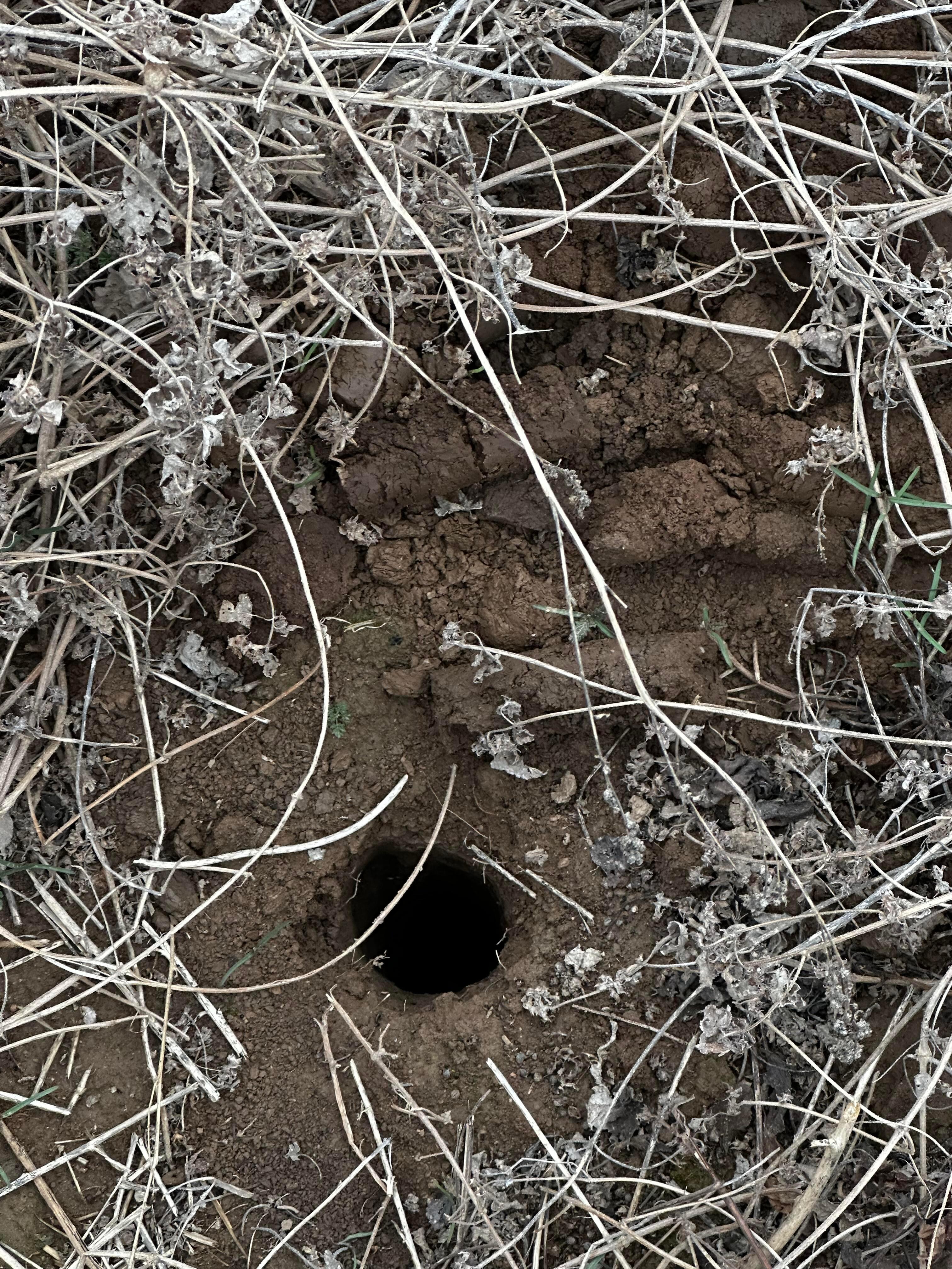 西安这座遍地能捡到钱的城市