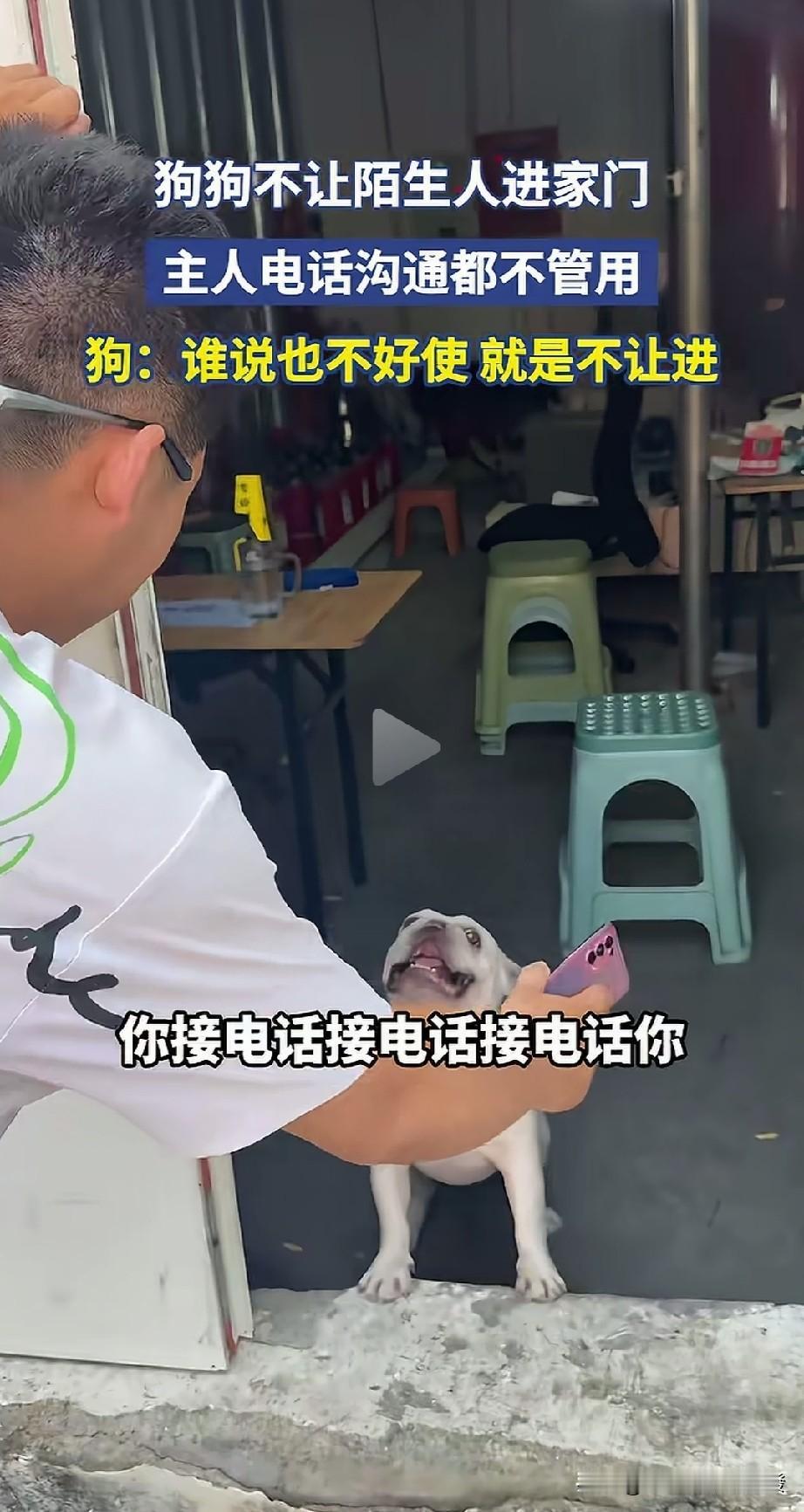 小伙去朋友家，但是狗狗拦在门口狂叫不让进，没办法，他就跟朋友打电话，有意思的是，
