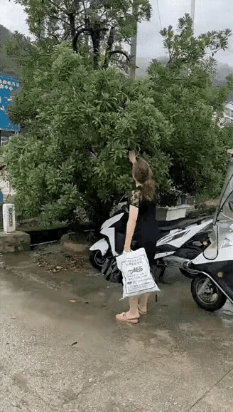 卧槽，惊到我了，这大姐轻描淡写的三下五除二就降服了一条大蛇，而且毫无害怕的感觉，