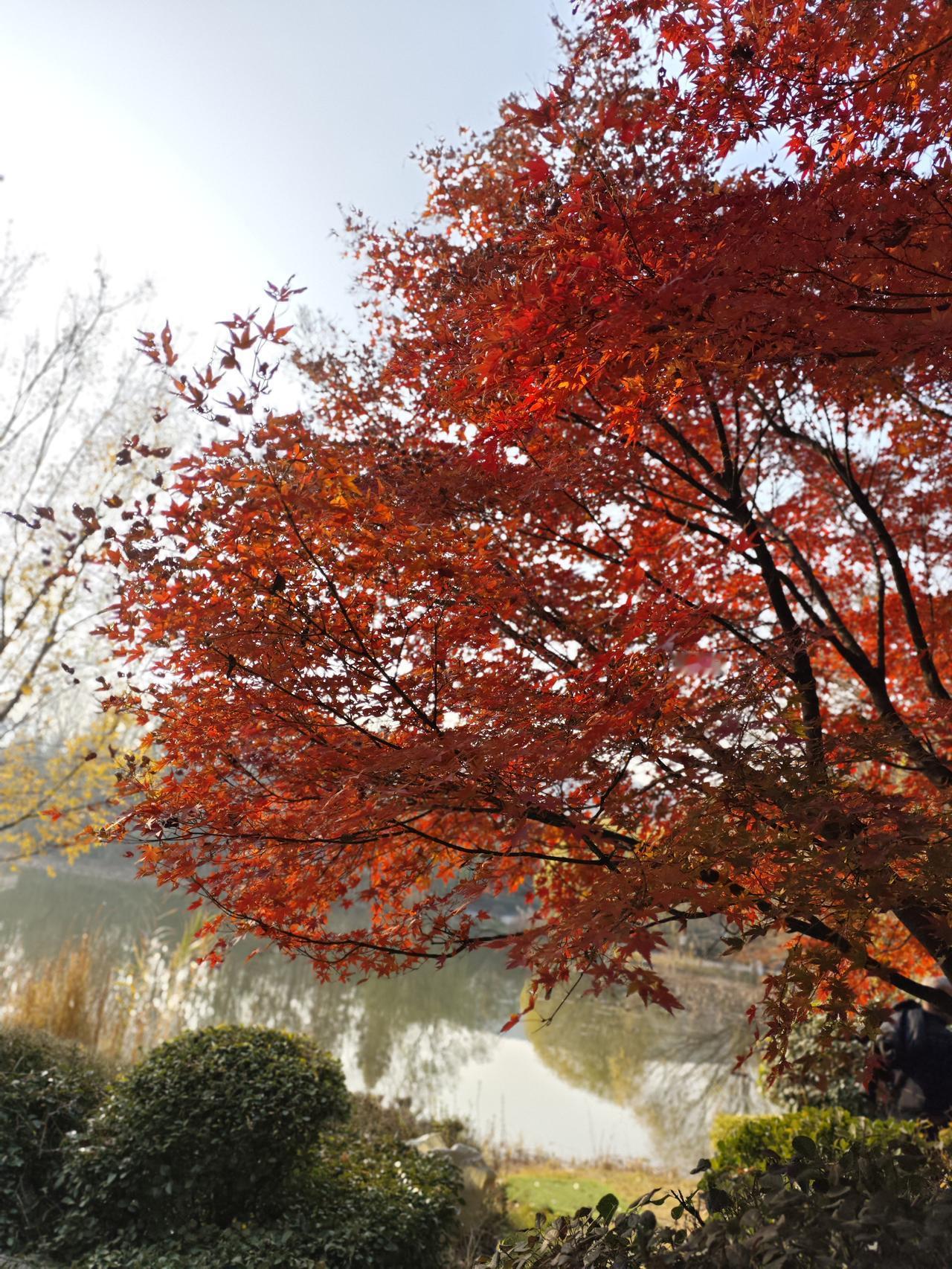 冬至三做三不做：三做：第一，开窗。晦气散开，阳气进来，天地翻页，自己也翻页了
